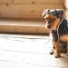 D7K_6723 thumbnail