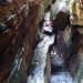 IMG_6168 thumbnail