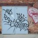 alive-at-five-albany-0016 thumbnail