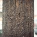 070512_0465 thumbnail