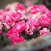 070512_0497 thumbnail