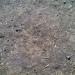 IMG_7947 thumbnail