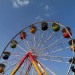 IMG_7984 thumbnail