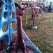 IMG_7986 thumbnail