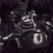 orphan-legs-told-slant-hand-habits-fuze-box-0002 thumbnail