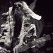 orphan-legs-told-slant-hand-habits-fuze-box-0005 thumbnail