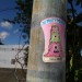 IMG_2484 thumbnail