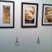 IMG_2589 thumbnail