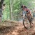 windham-world-cup-2014-0008 thumbnail
